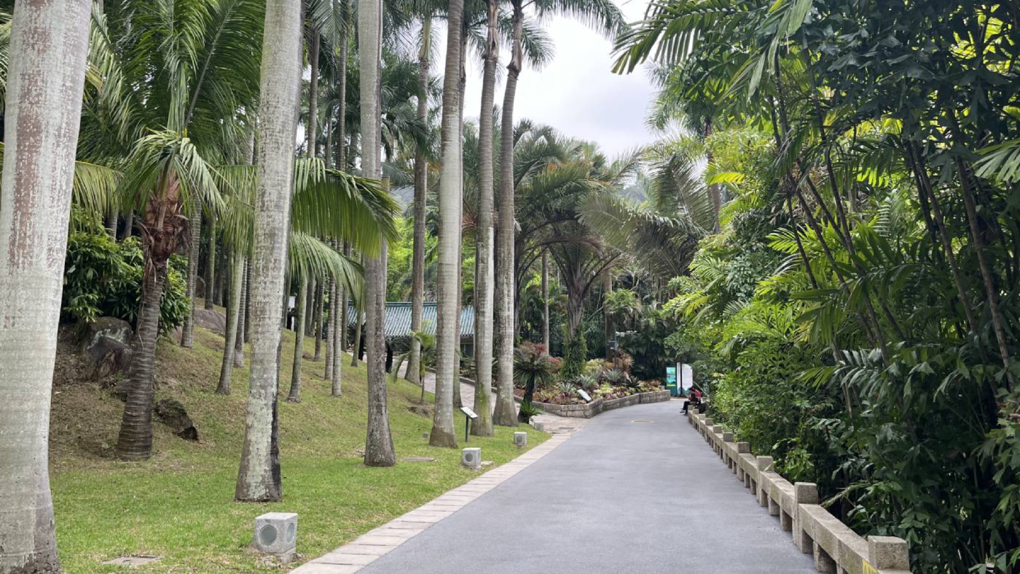 The botanical gardens are well worth a morning or full day to explore.