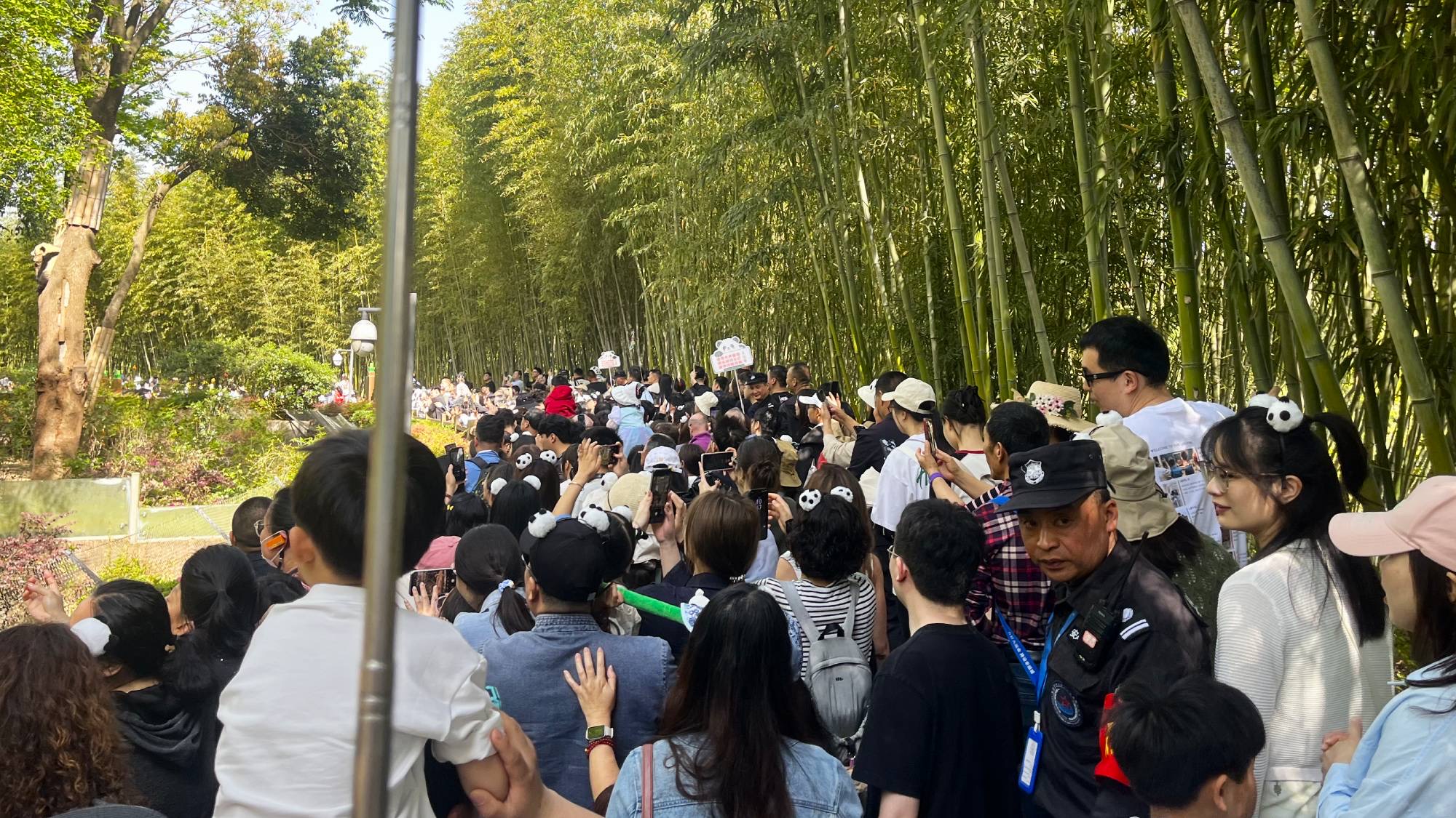 Expect large crowds at popular attractions like the Chengdu Panda Base.