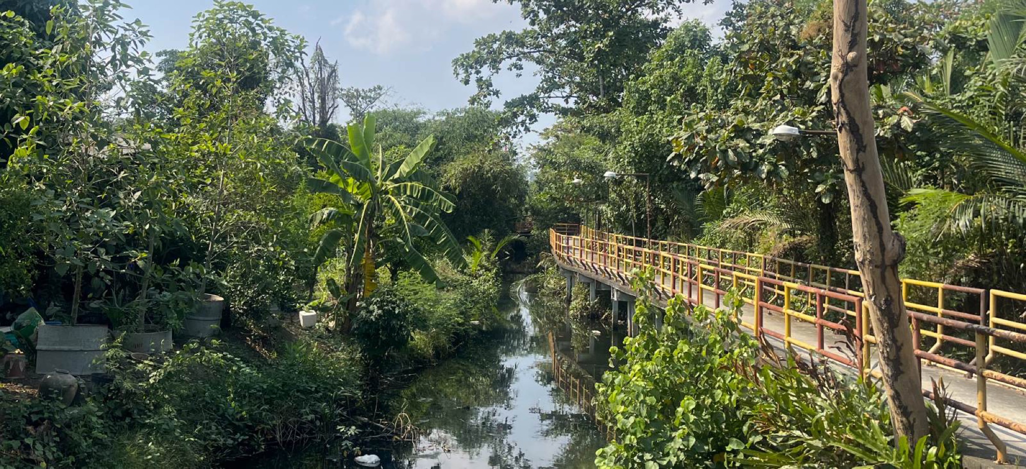 Explore Bang Kachao by bike