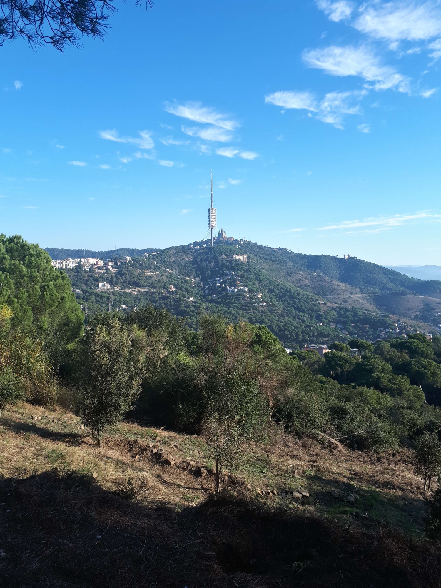 Hike through Parc Natural de la Serra de Collserola