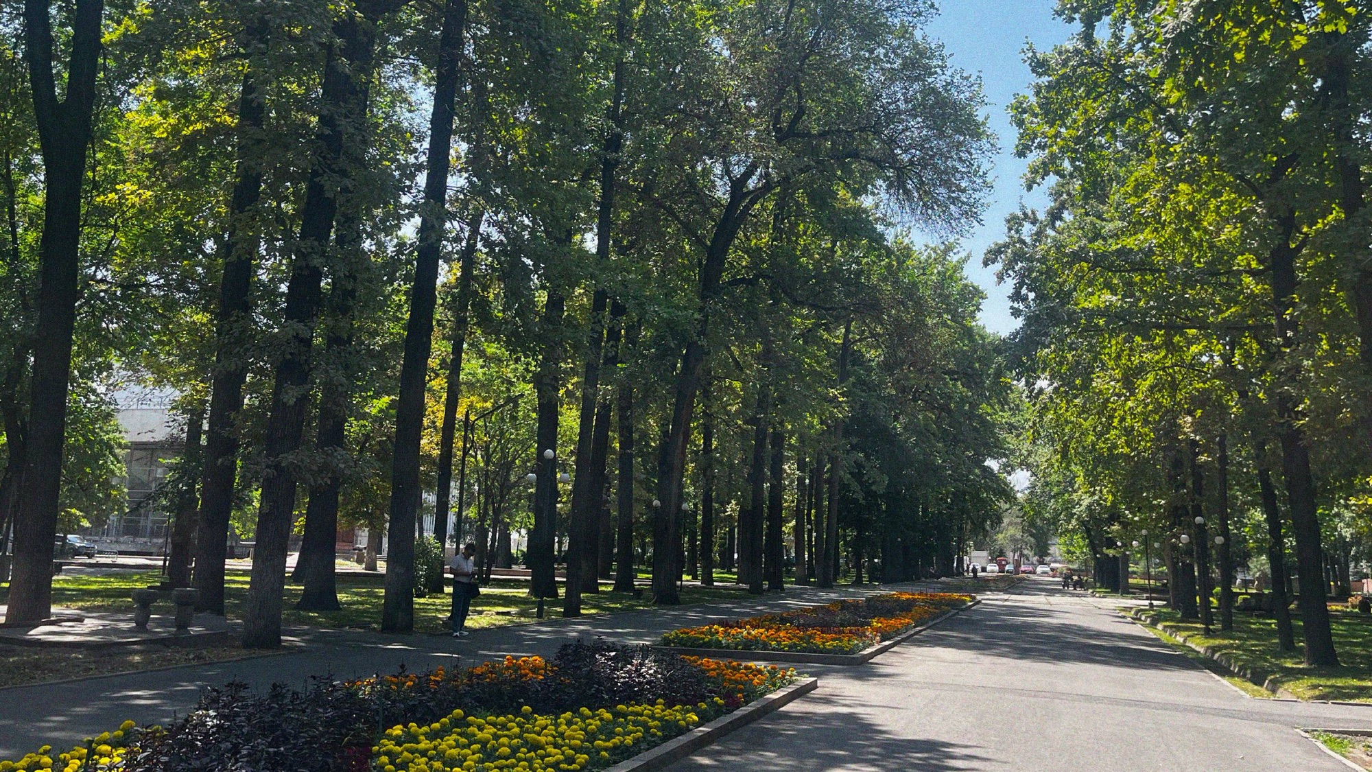These large tree-lined parks characterise much of the inner city, connecting various districts to one another and are characteristic of intentional Soviet planning. Bishkek is known as the greenest city in Central Asia, with more trees per capita than any other.
