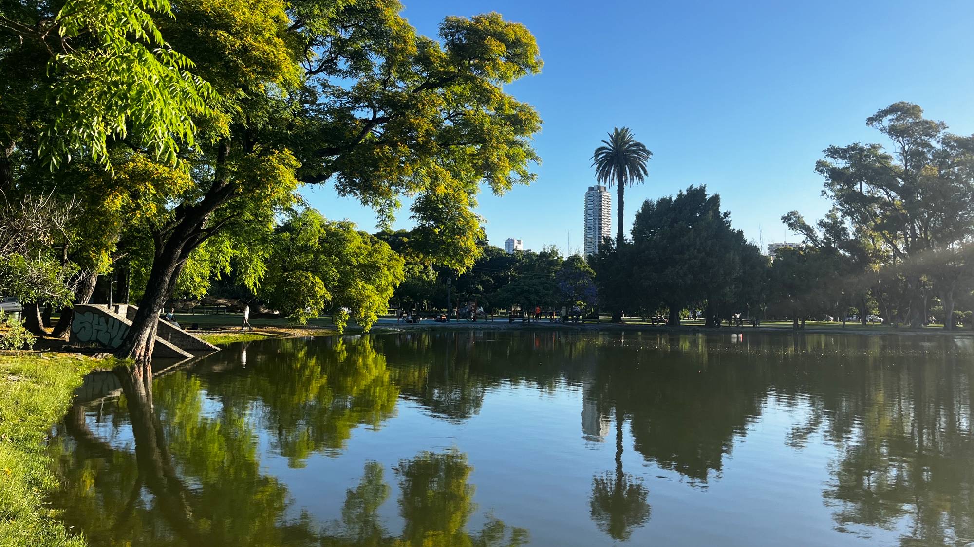 The park surrounding Lago de Regatas felt particularly in bloom in late November. The city is home to an enormous variety of foliage, and it’s not uncommon to see exotic, pine, and deciduous trees placed side by side.