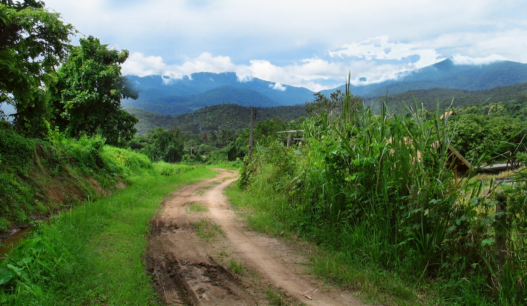 Hike in Doi Suthep National Park