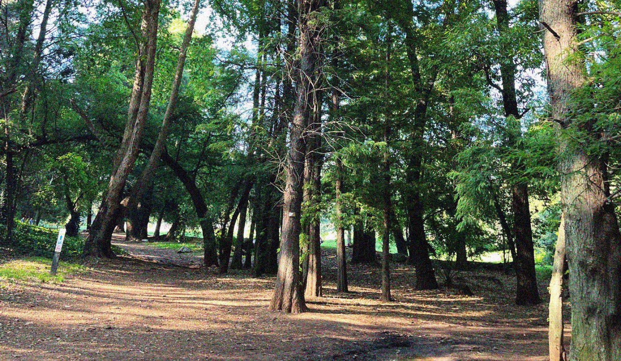 Johannesburg Botanical Garden in Emmarentia.
