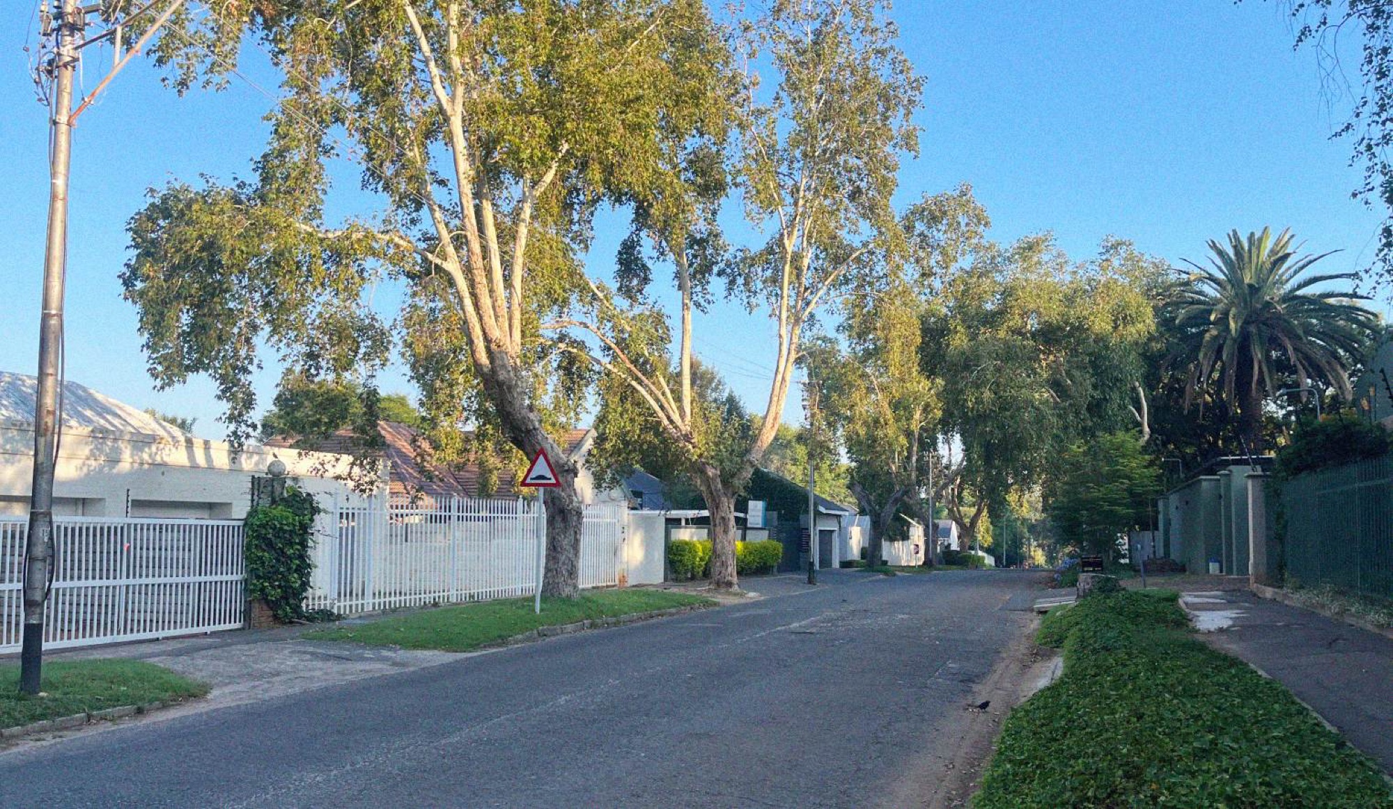 A typical residential suburban road in Joburg.