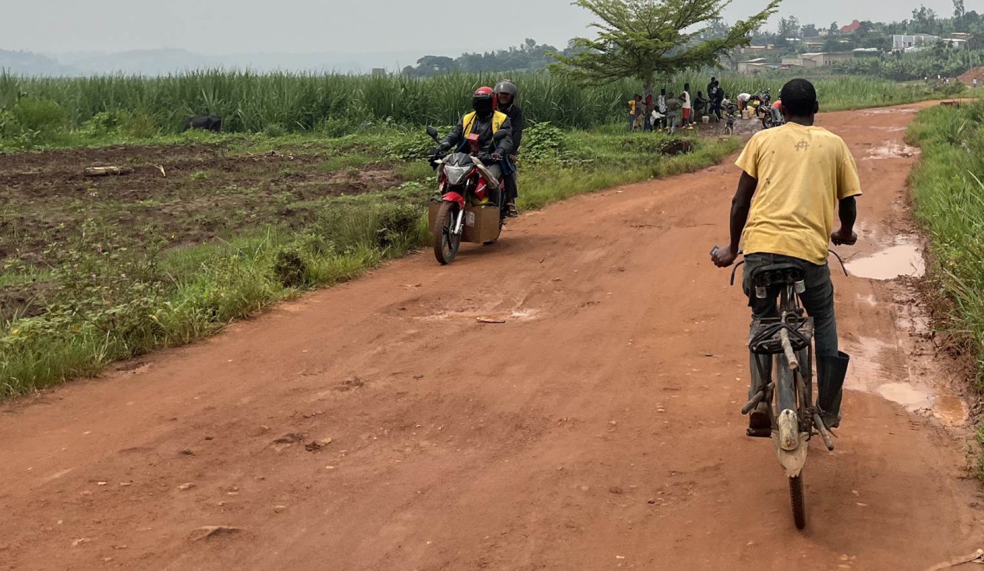 Explore the countryside on bike