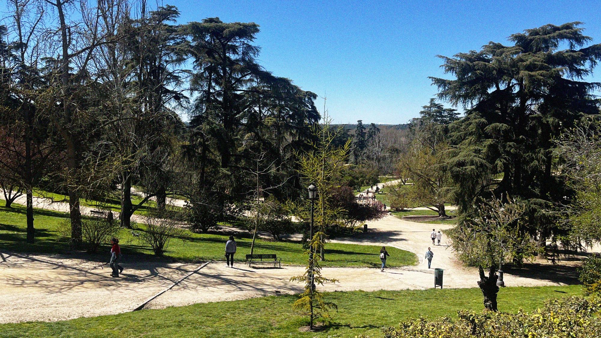 Parque del Oeste was one of the most scenic out of Madrid's vast selection of outdoor spaces. Beautifully landscaped, with numerous paths leading past conifer & cedar trees and a stream running through its centre.
