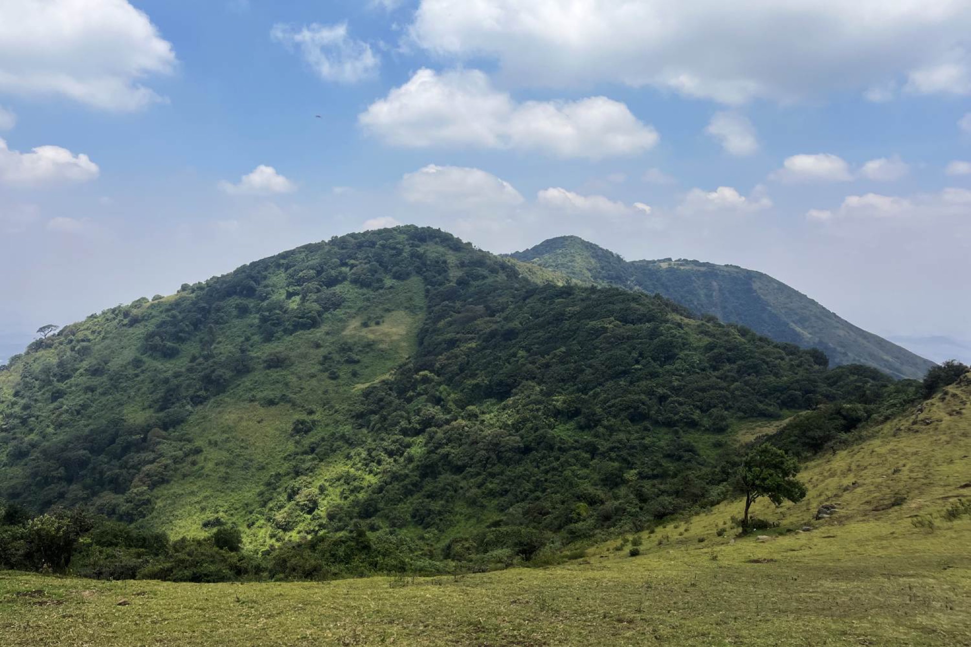 Hike in the Ngong Hills