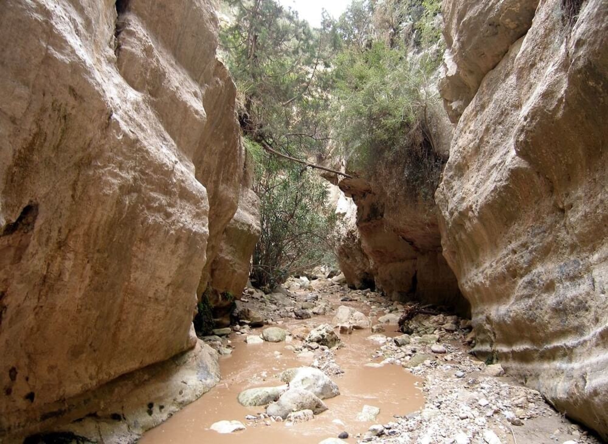 Explore Avakas Gorge