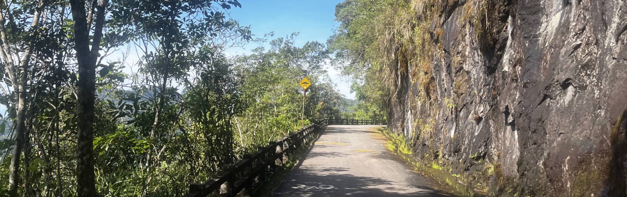 Explore the Tijuca National Park