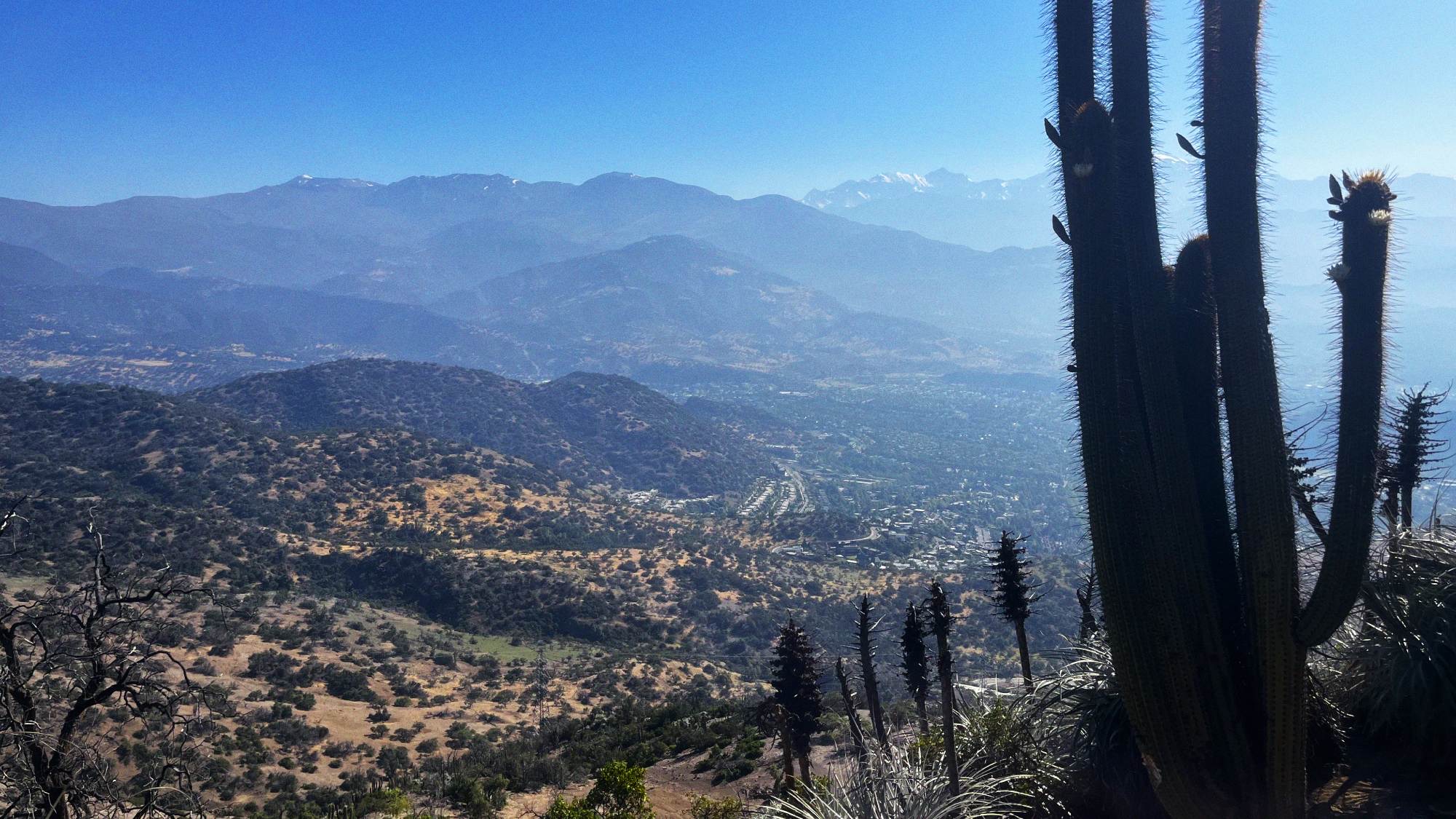 Arguably the best thing about Santiago is how easy it is to access great hiking trails. Within a 20-minute Uber ride, you can be at the start of a variety of trails with something suitable for all abilities. The landscape is a mix of mountains and semi-arid deserts, with cacti vastly outnumbering any trees. A huge benefit to have on your doorstep.