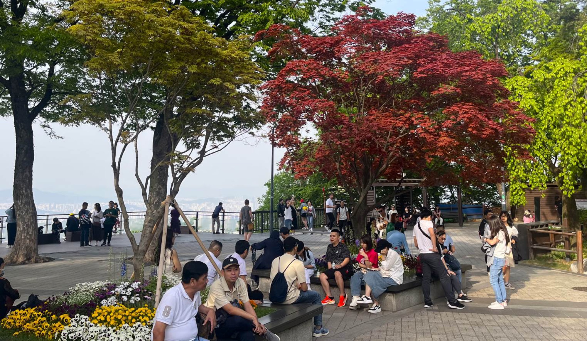 Walk through Namsan Mountain Park