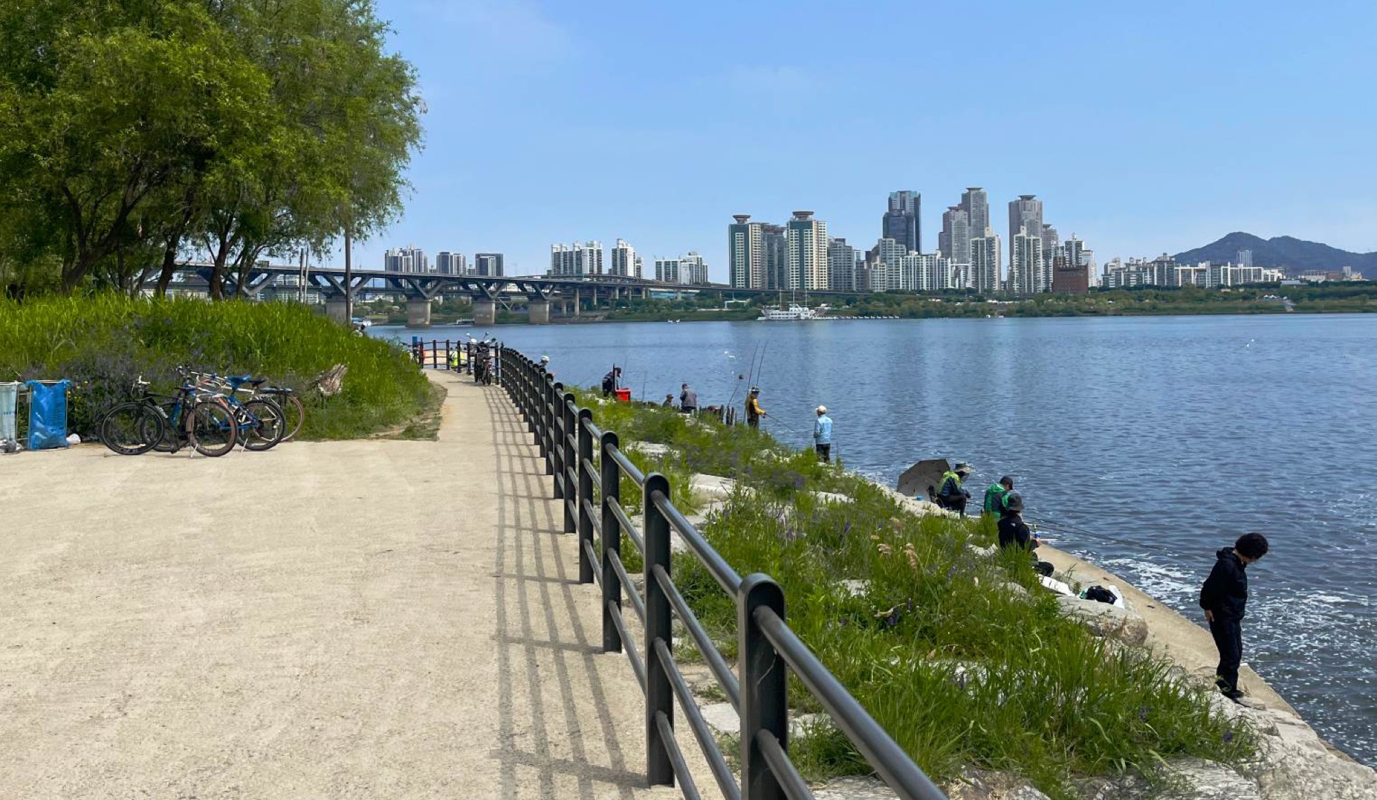 The Han River bike path on the south side of the river makes for an ideal uninterrupted route for running or cycling. The riverside parks that line the river banks make for popular picnic spots for locals.