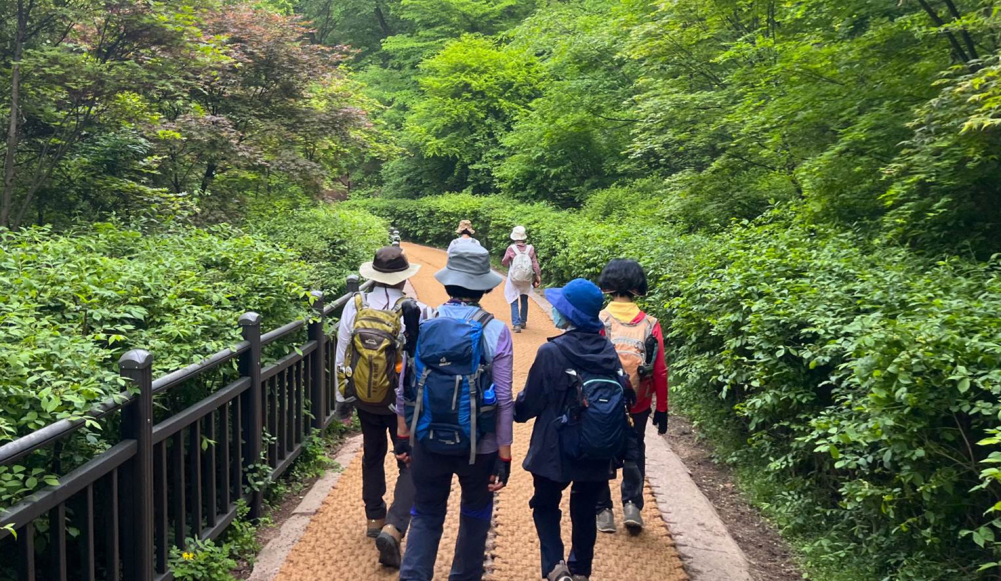 Popular with locals and tourists alike, the tranquil and hilly forest around Namsan Park makes for a convenient hike wherever you are based in the city.