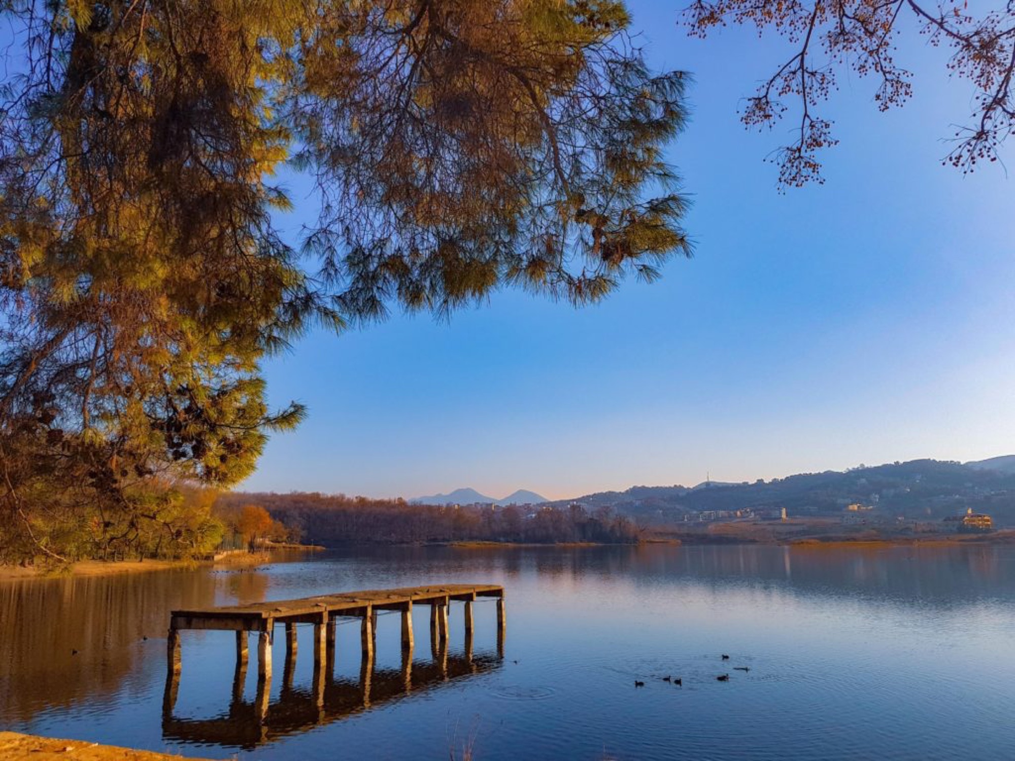Run in the Grand Park of Tirana